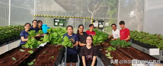 新加坡留学｜留学之前，这些准备工作要做足