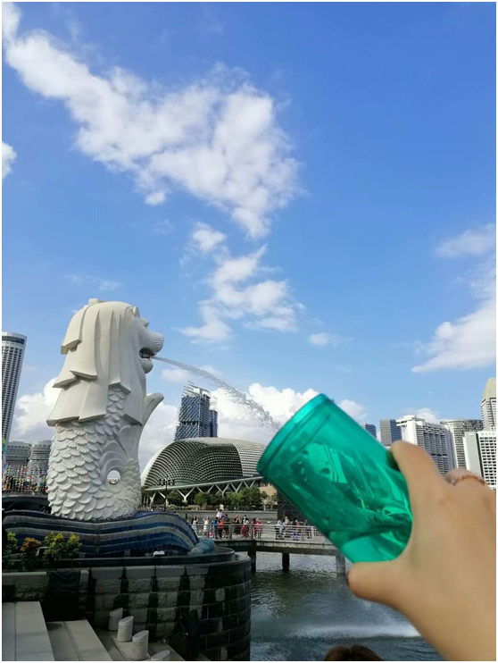 情迷新加坡，不可辜负的美景美食之旅