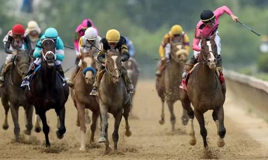 爱尔兰赛马6月8日复赛，美国“必利时锦标”开赛时间也确定了