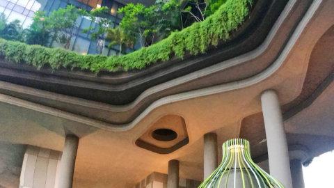 新加坡Singapore🇸🇬 花园城市🌺小学生写日记