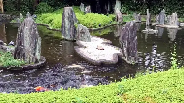 庭院藏山水，梦寐以求