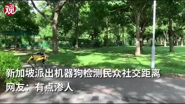 新加坡派机器狗公园巡逻 网友：有点渗人