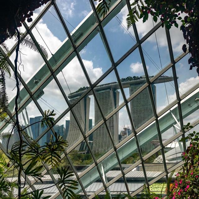 新加坡旅游，随手拍的一些游客照，做个纪念。