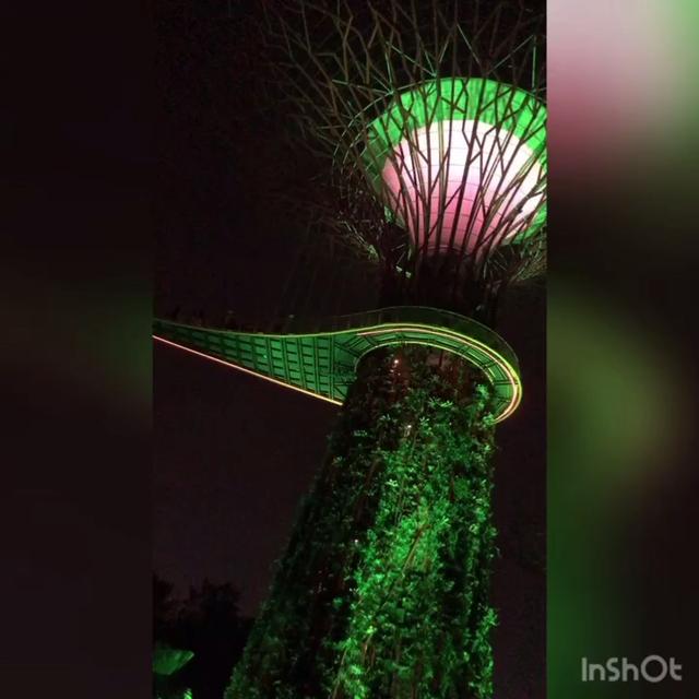 #新加坡#旅游#天空树#金沙#滨海湾#marina bay#