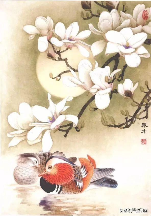 工笔玉兰《月下》画法示范