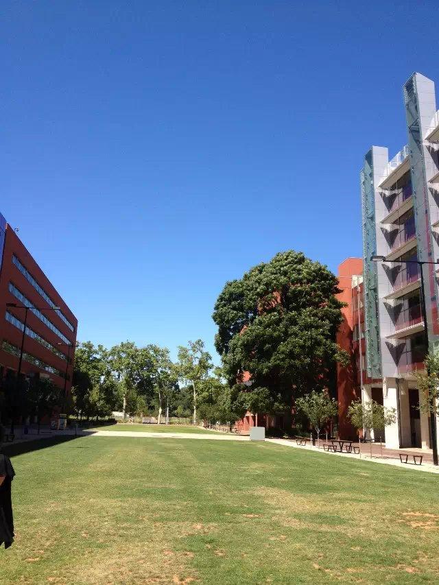 澳洲留学学法律好吗