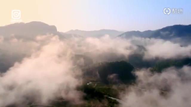首个“国际茶日”，让我们一起感受闽茶的魅力！