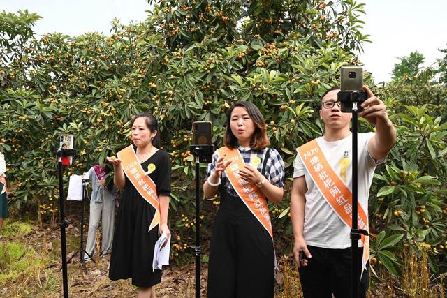 镇长来了、农户来了、网红来了、主播来了......1400多岁“高龄”的塘栖枇杷勇“闯”2020直播“江湖”