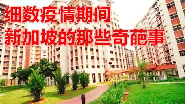 疫情期间新加坡有很多奇葩事，华人妹妹看不懂，细数都有哪些事吧