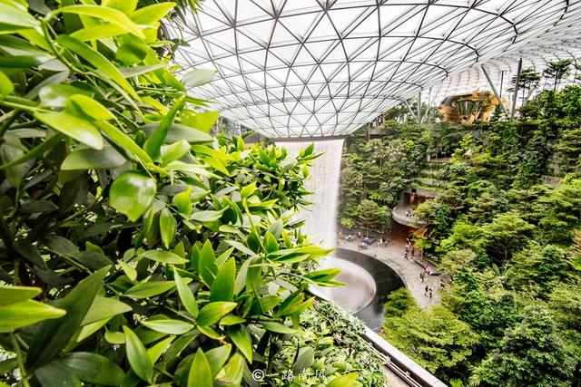 这个东南亚小国太有创意，机场内弄了个“森林乐园”，还有大瀑布