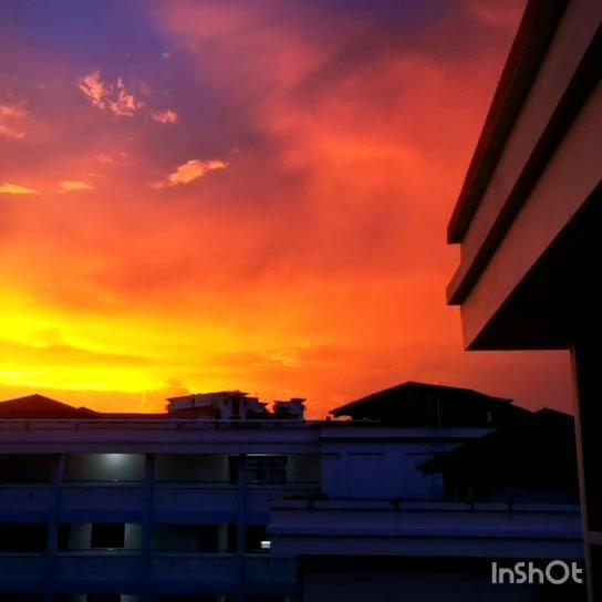 5月12号，新加坡防疫居家第36天。