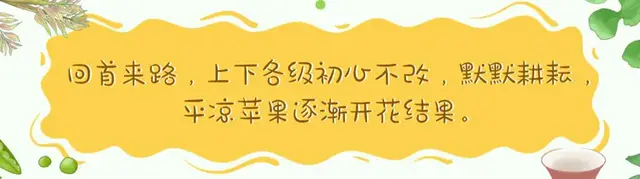 不是每一个苹果，都可以叫平凉苹果