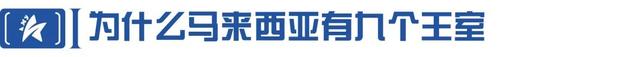 曾经的马来西亚属于中国？走进奇特的大马王室......