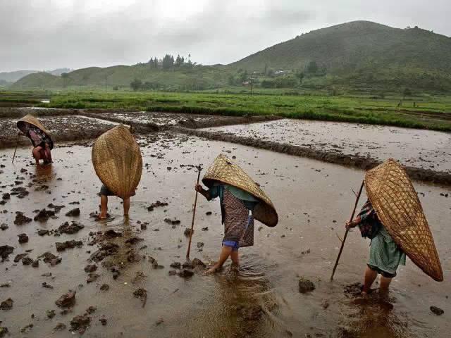 你所不知道的世界之最