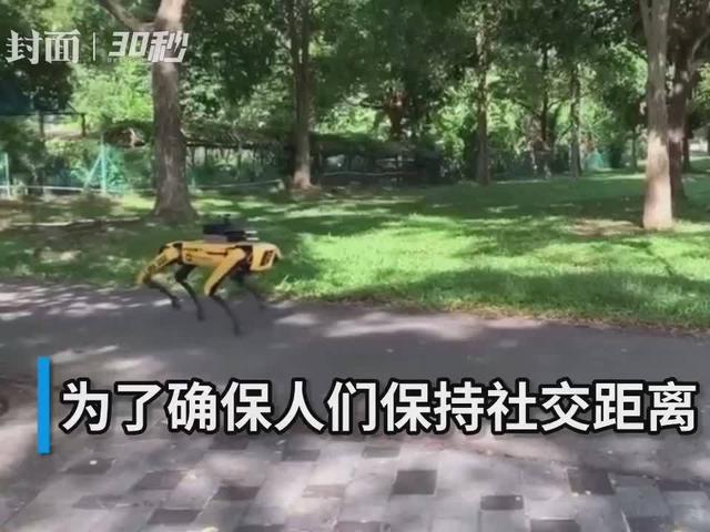 30秒｜新加坡派出机器狗巡逻，提醒民众保持社交距离