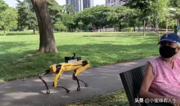 一只可怕的机械狗正在新加坡公园游荡，以确保人们保持适当的距离