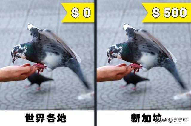 在日本，肥胖违法？那其它国家呢？盘点10个不同国家被禁止的事情