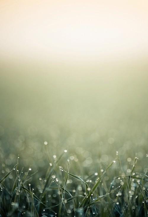 从疫情防控看日本危机管理体制