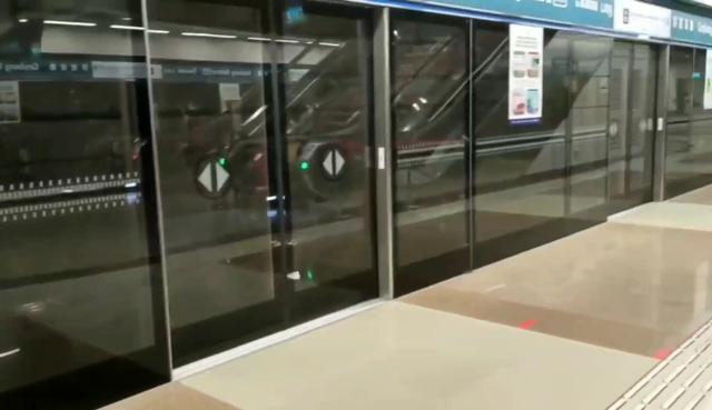 胆儿真大！新加坡疫情严峻期间，她还敢去唐人街买东西