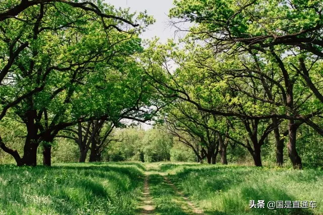 疫情过后，真的要面对一个全面倒退的世界？听听来自全球的十二个判断