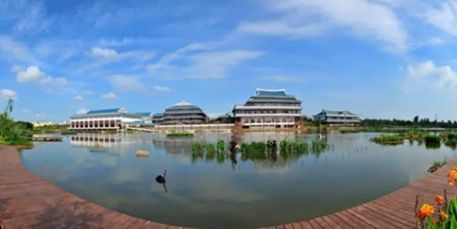 2020年厦门旅游景色：五缘湾，顶澳仔猫街，双子塔，沙坡尾艺术区