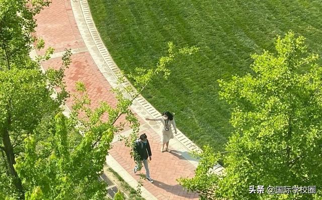 鼎石2020届毕业生大学录取结果正式揭晓