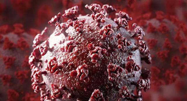 新加坡科学家否定自己的新冠疫情结束时间预测