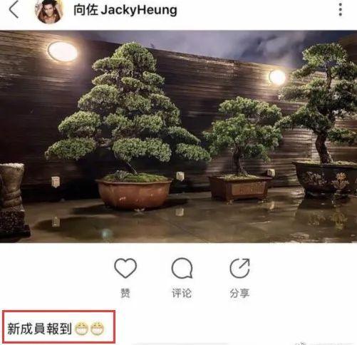 郭碧婷向佐假结婚，向太回应遭围攻：生个儿子才配领证？