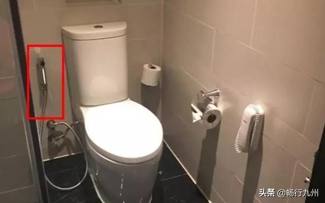 马来西亚的厕所多了个水管，用途多样