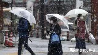 封城1个月激增13倍，裁员降薪大潮、经济危机，新加坡挺住～
