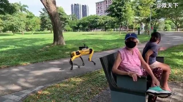 为了确保人们保持社交距离，新加坡用机器狗巡逻