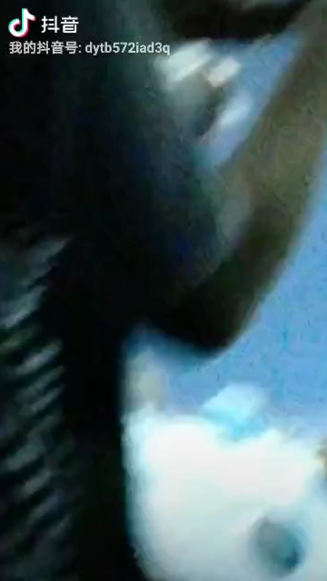 新加坡水族展览馆（一）