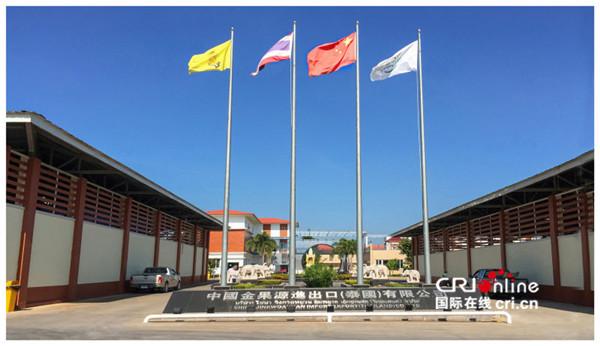 泰国果农感谢中国企业 疫情期间不离不弃共渡难关