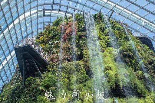 游记 | 带你去看新加坡植物园-云雾林温室