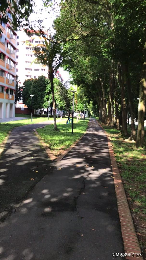 新加坡终于放晴了，出来溜一圈。