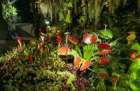 这是新加坡滨海湾公园内的一座拱形玻璃房，里面有人造瀑布，云雾林