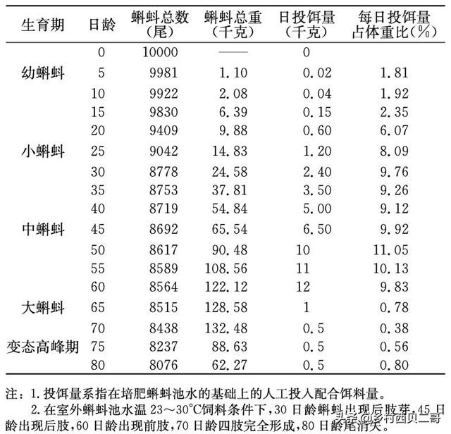 蛙类人工养殖技术，带你了解正确的牛蛙养殖方法，养殖户应该看看