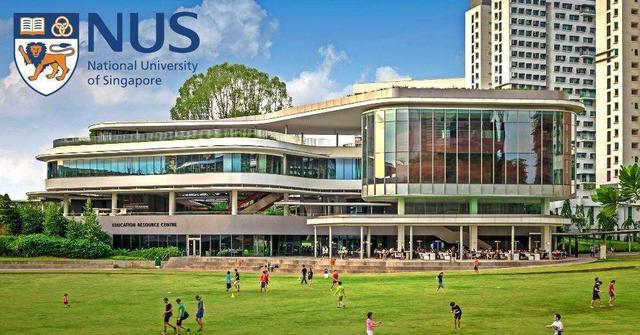 新加坡公立大学简介