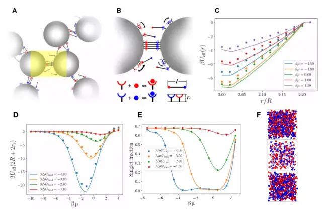 Science Advances :“纳⽶乐⾼”的新型设计组装思路