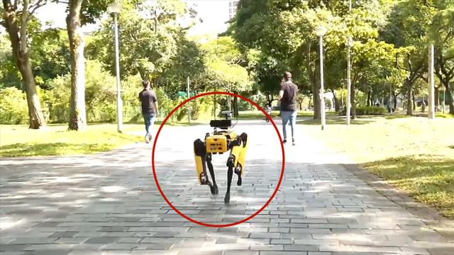 有创意！实拍：新加坡派出“网红”机器狗巡逻 提醒市民保持距离