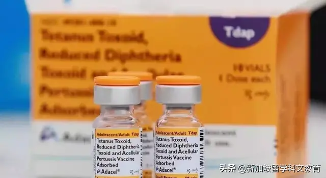 新加坡留学｜12岁以下孩子要注意！留学前一定要完成这件事