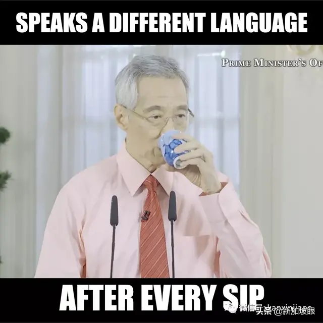 李显龙总理的马来语演讲亮了，新加坡领导人都是四语人才？