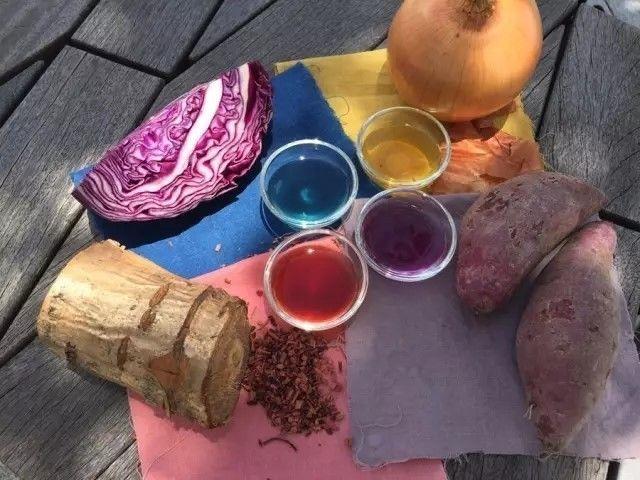 放弃公务员铁饭碗，到街上捡烂菜做衣服，作品轰动了整个设计界