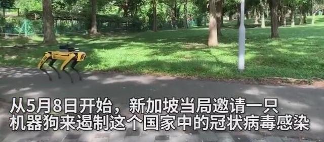 你要的新加坡机器狗视频来了！路人跑的一个不剩，网红走位太狗了