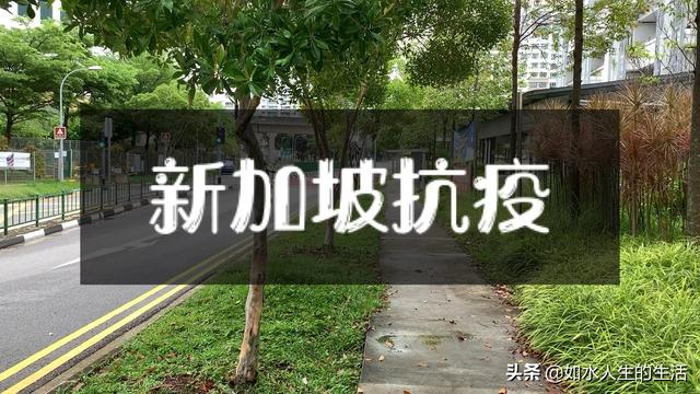 新加坡抗疫第二个月，现在已经出现拐点，坚持宅家，加油