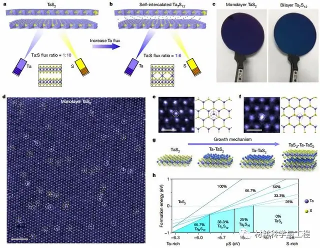 中山大学合作《Nature》一种自插层新方法可以生长新型二维材料
