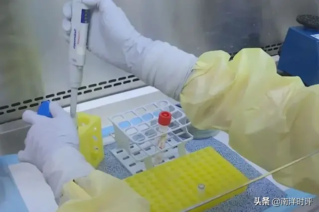 新加坡首次出现检测失误！33人被实验室误诊为阳性