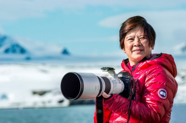 极地疯狂摄影师，犟人“企鹅姐”：为自然图景插上想象的翅膀