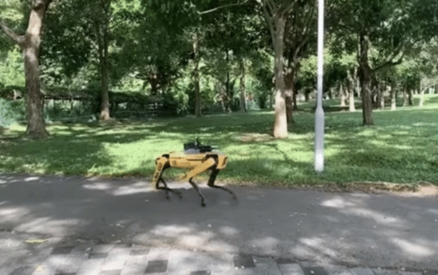 疫情期间，不守规矩，那就对不住了，上机器小黄狗