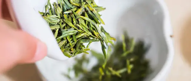 《世界茶文化大全》，茶文化至佳百科全书